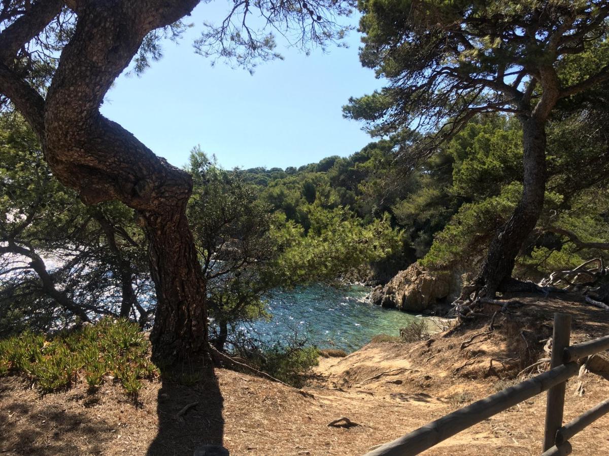 CollobrièresLa Provence Authentique A 30 Minutes Des Plages公寓 外观 照片